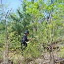 도대보건진료소 이미지