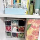 솔리드짐 아레나 | 실내수영복 14벌의 기록 (나이키, 후그, 움파, 헤이엄, 루프루프, 아레나, 르망고, 리굿스 사이즈 추천)