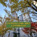 동탄대로시범길 이미지