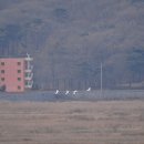 동주농장 이미지