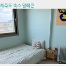 월정리 | 제주 구좌읍 월정리 말레콘 숙박 후기