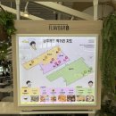 오송역약국 | [청주 - 제주] 청주공항역 도보 시간 / 이스타항공 탑승수속 마감 / 청주공항 푸드코트