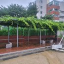 대원건축 | # 대원고등학교 외부 정자 철거공사 사례학교 외부...식물 철거부터 안전하게 진행한 만호건축 시공 후기