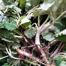 김주연농장 이미지