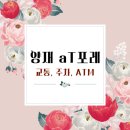 [홀투어] aT포레 - 교통/주차/ATM