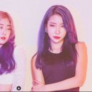 지지에이전시 이미지