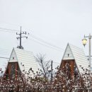 토성 | [청주카페] 사계절이 예쁜 블루리본 디저트맛집 토성마을 재방문 후기