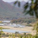 굿뜨래 달하산 농장(밤, 쌀, 은행, 고사리) 방문기