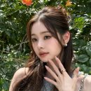니트프리지아