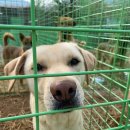 상임농장 이미지