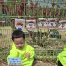 숲속나라 이미지