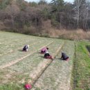 함평참쑥 영농조합법인 이미지