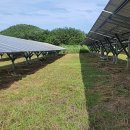 환영 태양광발전소 이미지