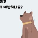 더 포레 동물병원 이미지