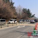 서울아산병원 앞 사라진 ‘약국차량’ 행렬… 송파구, 민관 협력으로 불법주정차 문제 해결! 이미지