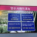 착한어부네 이미지