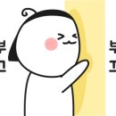미스터라볼 네이버블로그