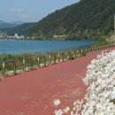 화천산소길 이미지