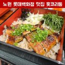 홋코리동 이미지