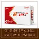 콜그린 - 속초시 중앙시장로 3 | 콜그린