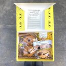 성수퍼피 이미지