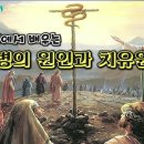 질병과 치유에 대한 이해 이미지