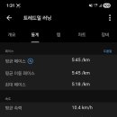평지