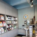 하니동물병원 | ⭐ 브리더 입장에서본 용문면 이장석 동물 병원 후기