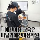 바닐라애견미용학원