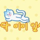 오븐애 이미지