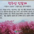 진달래약수터 이미지
