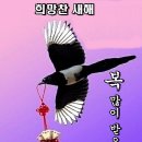 그런 신은 없다 이미지