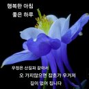 모든일력 Daum카페