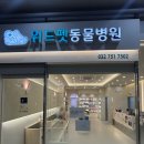 레스펫동물병원 | 영종 하늘도시 위드펫동물병원 강아지 진료 후기｜우리 두부가 믿고 다니는 동물병원