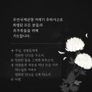 느닷없는 사고에 희생된 분들을 위하여 기도 드립니다... 이미지