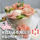 일산 떡케이크 엄지공주케이크 부모님 생신 케이크 추천