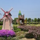 바닷가 하얀목화밭 이미지