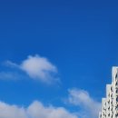 청주서문시장 삼겹살거리 | 청주 삼겹살데이 후기, 서문시장 삼겹살축제 다녀왔어요 (2kg 25,000원 득템!)