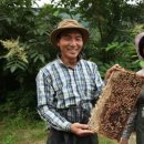 민두벌꿀 이미지