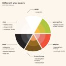 미소로한의원 이미지