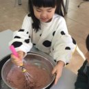 아침미소목