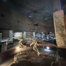 생생게임랜드 이미지