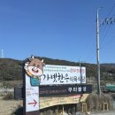 소띠비한우농장 | [양산맛집] 24일 숙성한 프리미엄 투쁠 한우 맛집 가넷한우 5번룸 후기