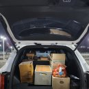 선미1농장 이미지