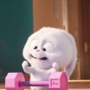 테리온 휘트니스 이미지