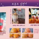 애견일번지 이미지