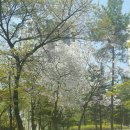 느티울근린공원 이미지