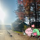 산청풋살장 이미지