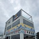 양양수산 | 양양하조대맛집 삿포로수산 완벽한 일식 후토마끼 후기