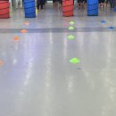 용인대지노태권스쿨 이미지